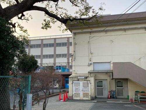 横浜市立大口台小学校まで約239m