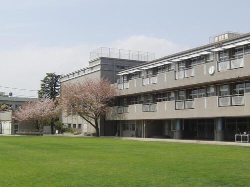 杉並区立桃井第五小学校まで約755m