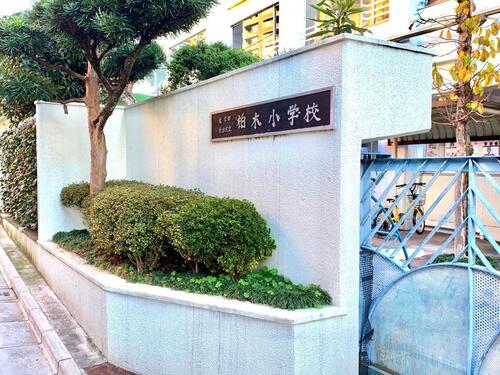 新宿区立柏木小学校まで約355m