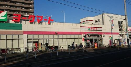 ヨークマート下前店