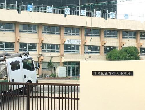 葛飾区立花の木小学校