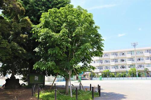 さいたま市立尾間木小学校