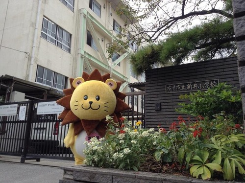 市川市立新井小学校