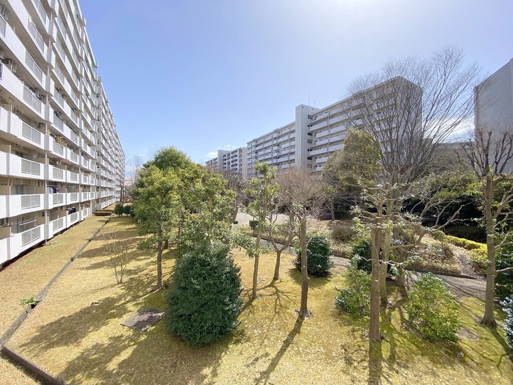 その他 バルコニー前の青々しい木々がいつでも心身をリフレッシュしてくれます