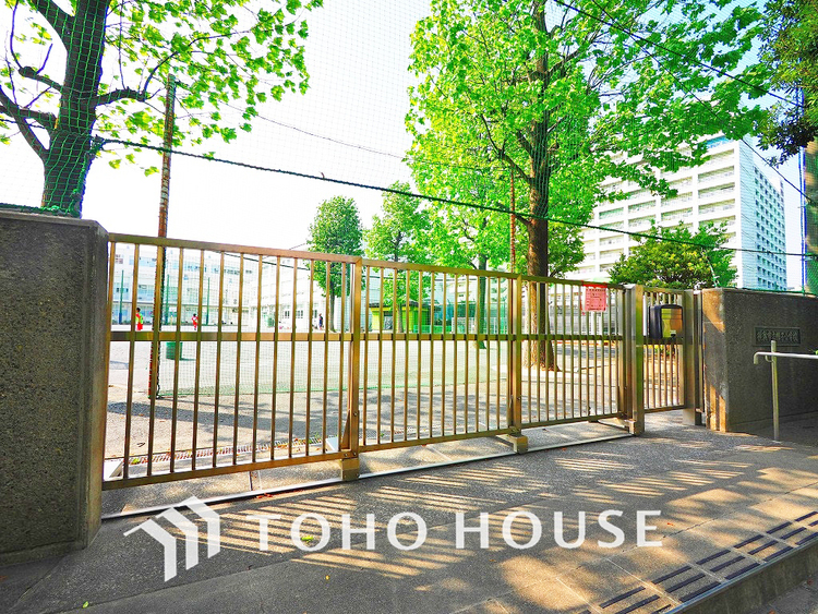 周辺 横浜市立帷子小学校 距離220m