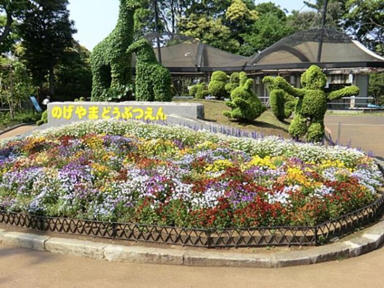 周辺 野毛山動物園 2000m