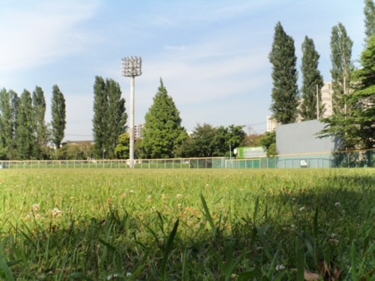 周辺 富士見公園:260m(徒歩4分)