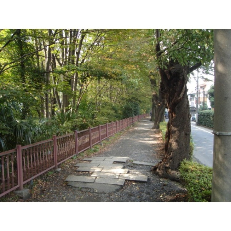 周辺 玉川上水(約330m)