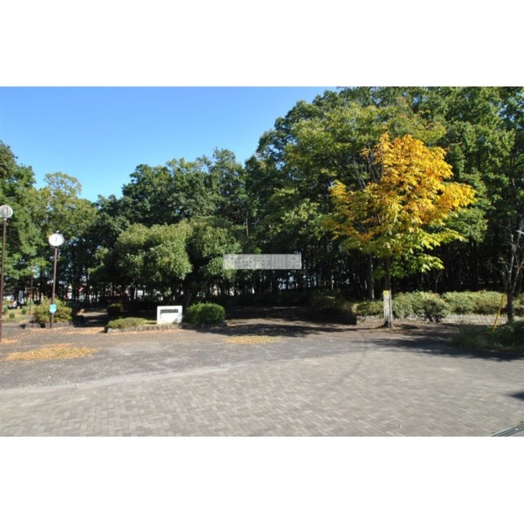 周辺 狭山台中央公園(約350m)