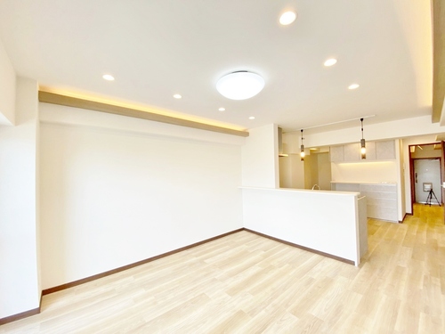 市川江戸川堤マンションの物件画像