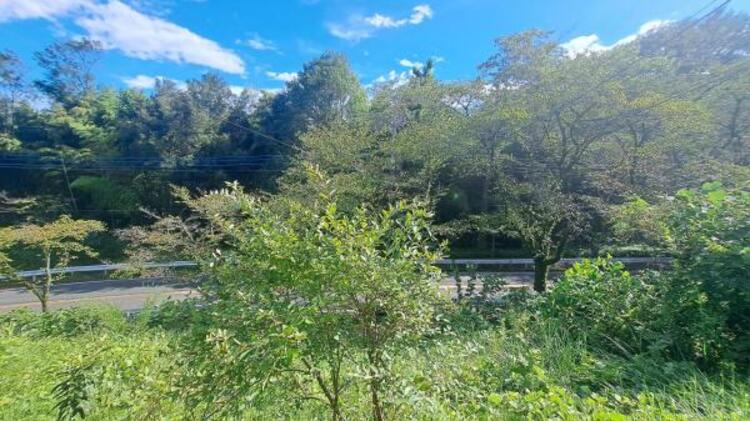 その他 住戸南側眺望良好！春には満開の桜、秋には紅葉が楽しめます