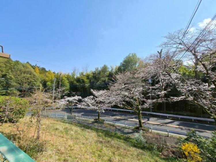 その他 バルコニーからの景色です。