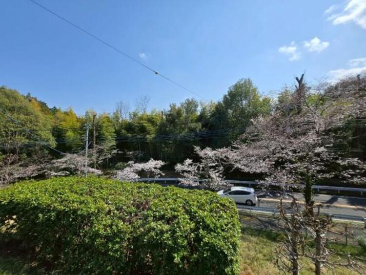 その他 自然が多く美しい景色を見て心も癒されますね