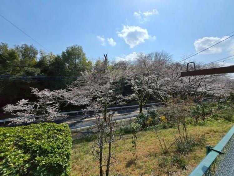 その他 春夏秋冬で様々な顔をみせてくれる眺望です