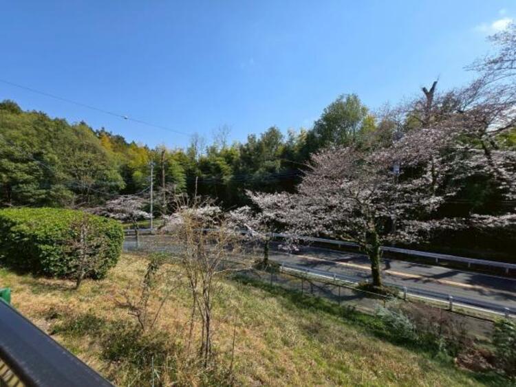 その他 バルコニーでお花見もできそうですね！