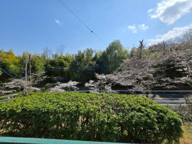 その他 お気軽にお問い合わせください。