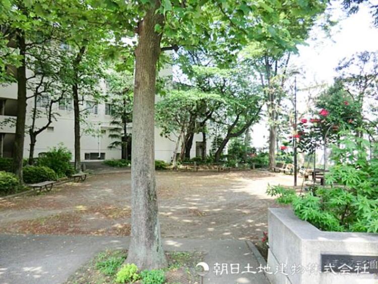 周辺 青葉台第三公園340ｍ