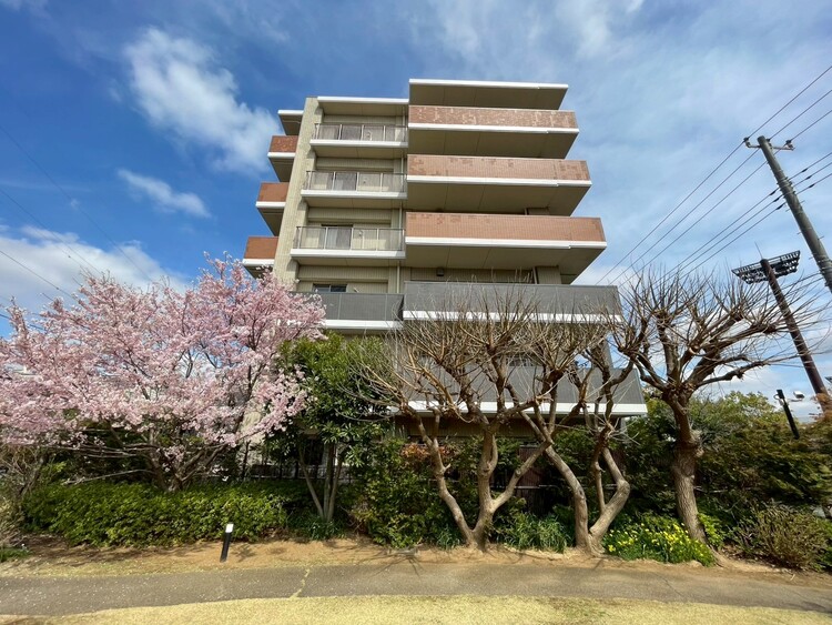 外観 資料には掲載していない情報が、現地にはたくさんあります。是非一度、現地をご確認ください。
