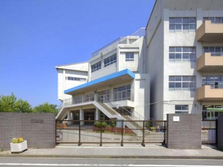 周辺 市川市立幸小学校