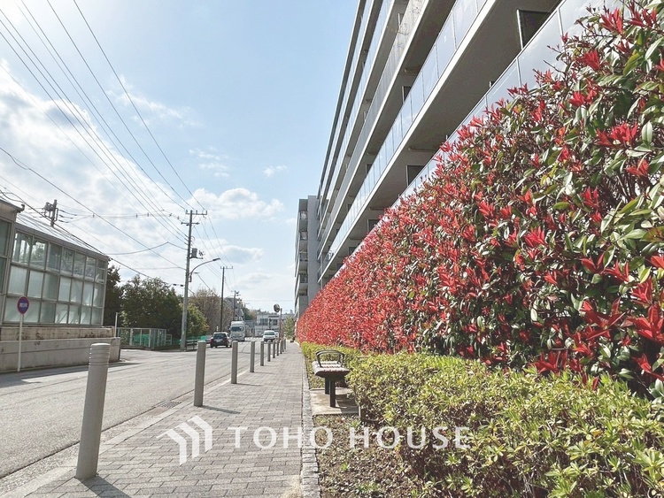 その他 【APPEARANCE】◆弾む思い◆我が家に帰る楽しみに、心掻き立てられる。心弾む。