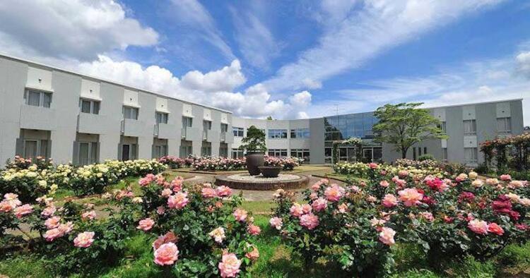 周辺 医療法人式場病院