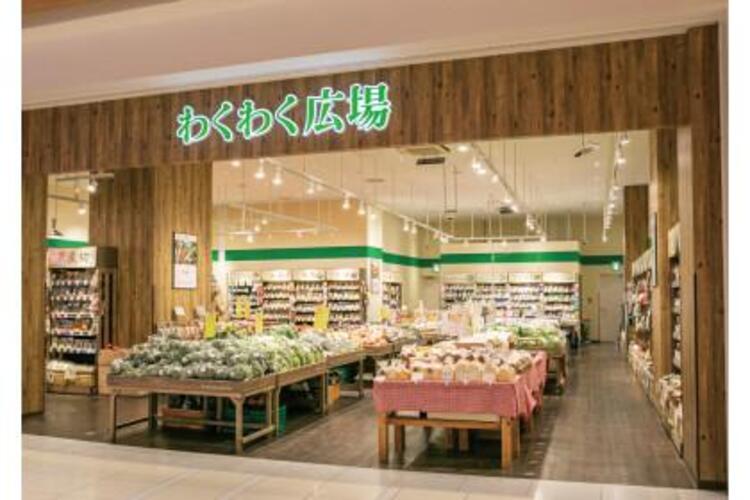 周辺 わくわく広場ソコラ南行徳店