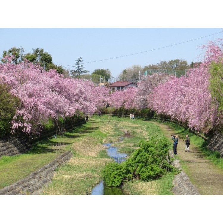 周辺 武蔵野公園(約550m)