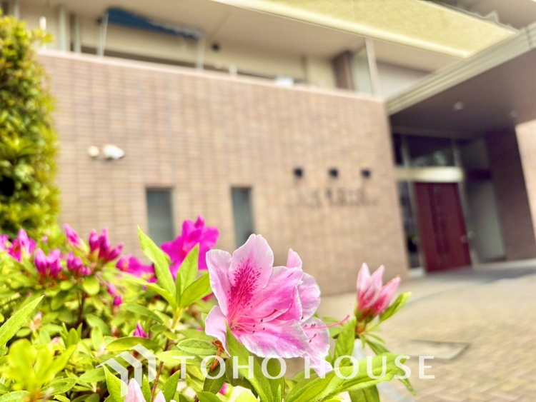 エントランス 風の通り道。舞い込んでくる風が優しく躍り、室内に爽やかな空気を運んでくる。そこに季節の息吹を感じて、いまがどんな季節なのかを実感する。