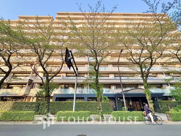 外観 窓をあけると通り抜ける風。清々しく心地よいそよ風が、この空間を涼やかに。風通しの良さは人にとっても家にとっても健康的で気持ちいいもの。