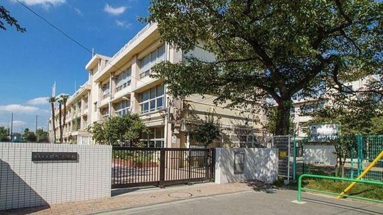 周辺 練馬区立関町小学校