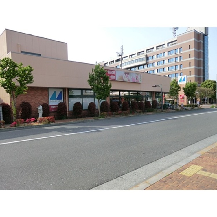 周辺 マルフジ(約1120m)