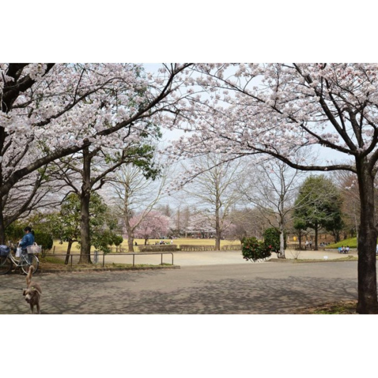 周辺 御伊勢塚公園(約920m)