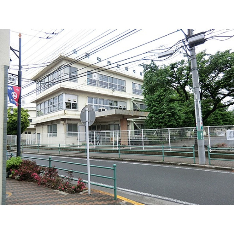 周辺 第七小学校(約440m)