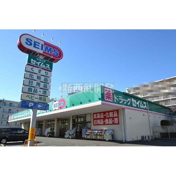 周辺 セイムス(約290m)