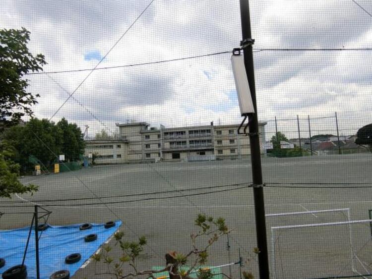 周辺 長沢中学校まで約798m