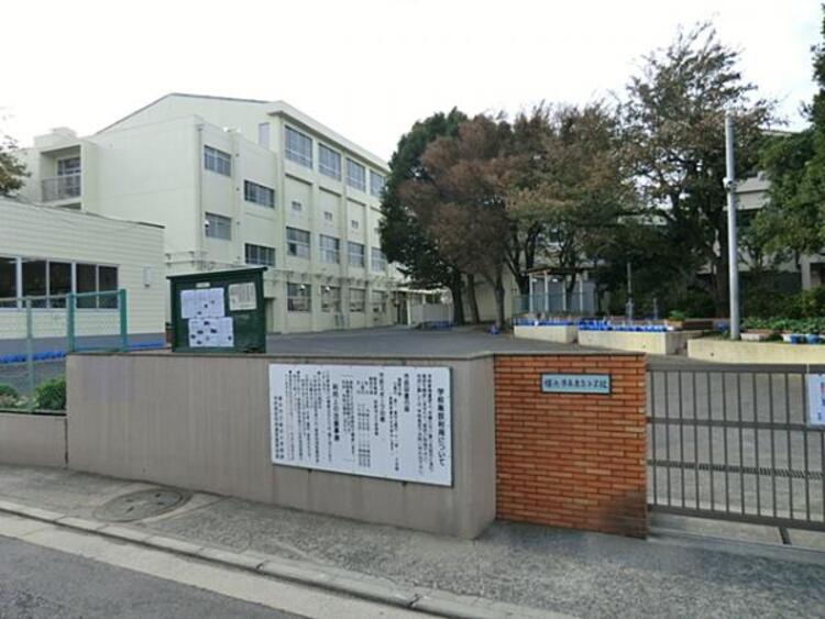 周辺 横浜市立東台小学校 450m