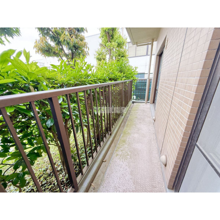 バルコニー 令和7年5月15日撮影