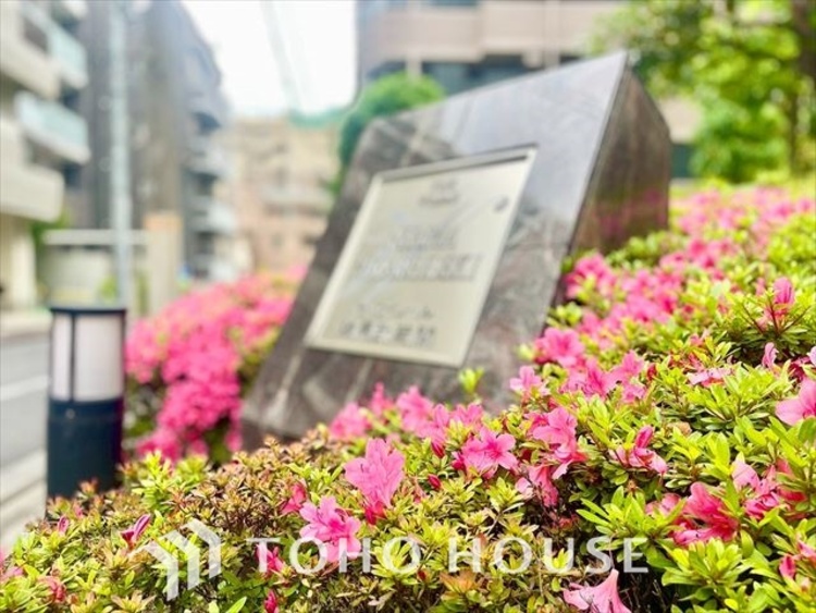 外観 【APPEARANCE】◆ここが居場所◆家族みんなが集うこの場所で、あなただけのＳＴＯＲＹを。あなたが笑い、家族が笑い、幸せが溢れる夢のような毎日を。