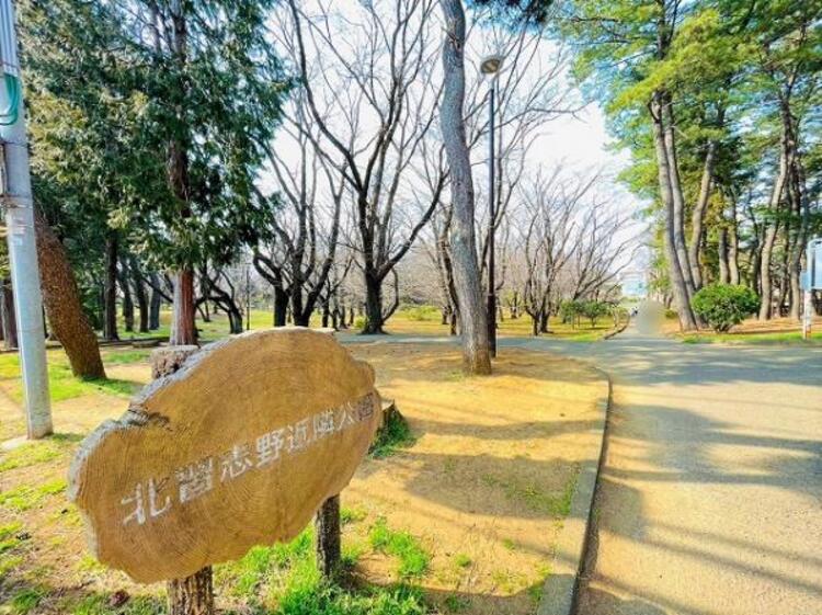 周辺 北習志野近隣公園まで徒歩7分（約551ｍ）