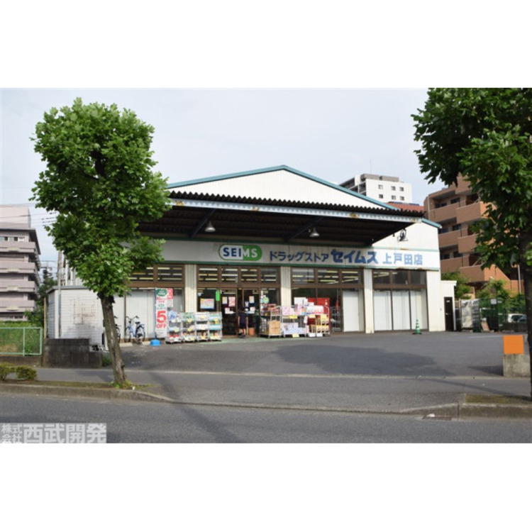 周辺 セイムス　(約300m)