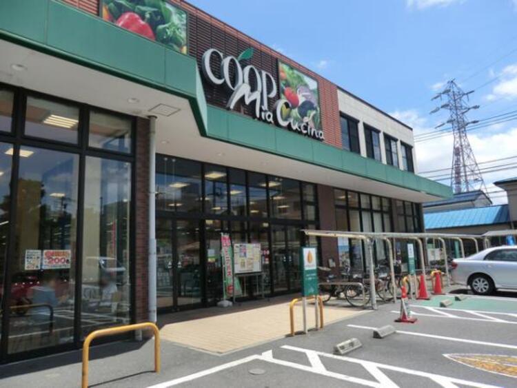 周辺 ユーコープ ミアクチーナ末吉店　260ｍ