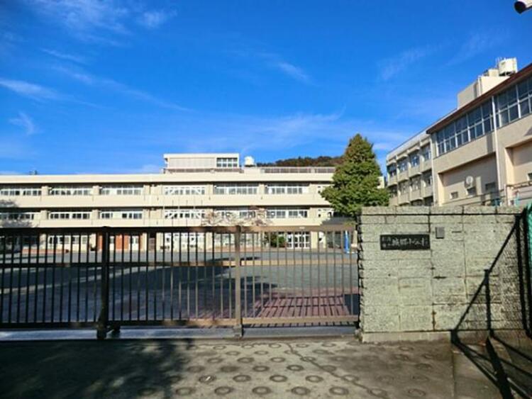 周辺 横浜市立城郷小学校 550m
