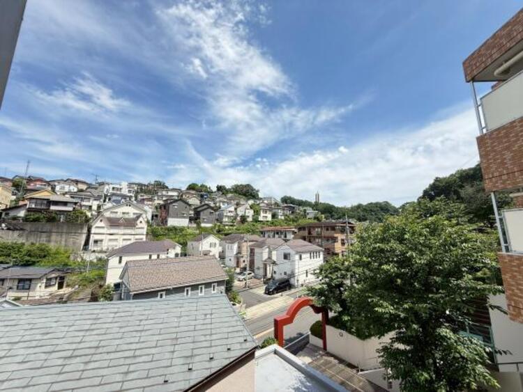 その他 【2025年6月撮影】