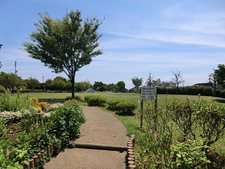 周辺 笹下中央公園まで約250ｍ