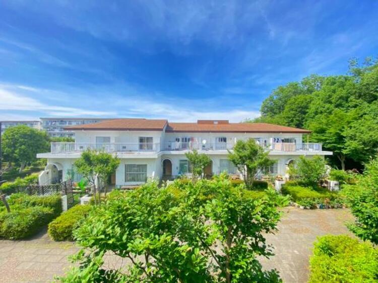 その他 【2025年6月撮影】