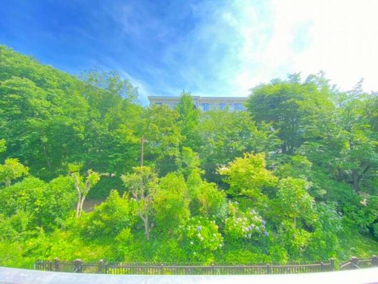 その他 【2025年6月撮影】