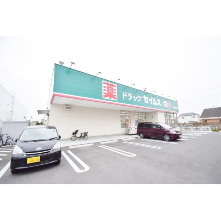 周辺 ドラッグセイムス新座片山3丁目店(約750m)