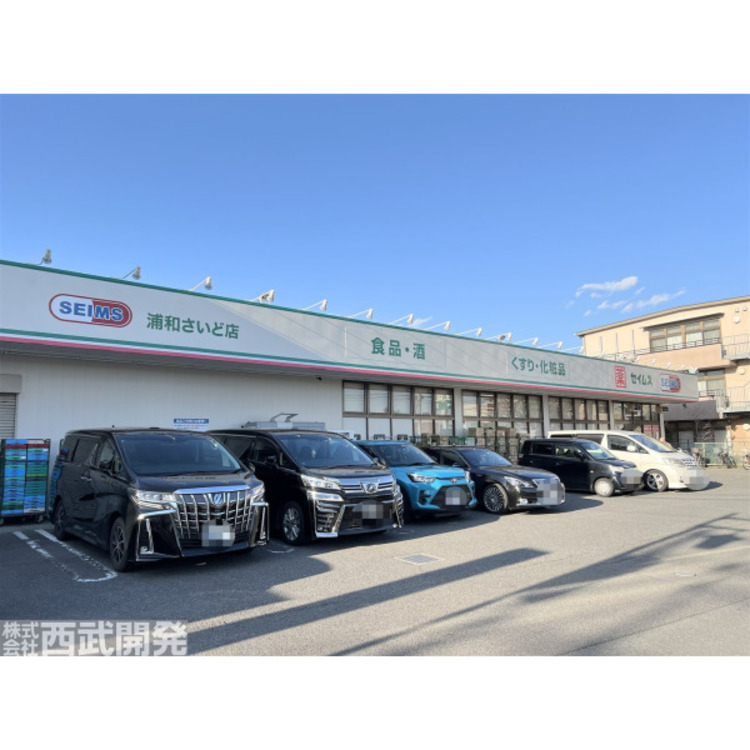 周辺 セイムス(約1200m)