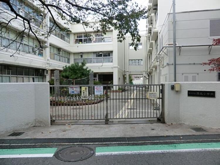 周辺 横浜市立港北小学校　870ｍ