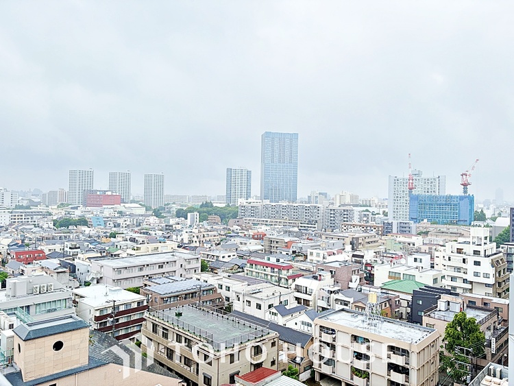 その他 現地に実際に行ってみることでしか感じられないことがたくさんあります。